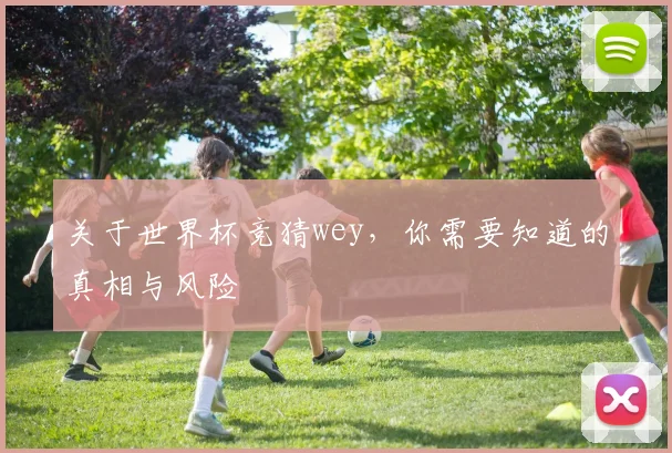 关于世界杯竞猜wey,你需要知道的真相与风险