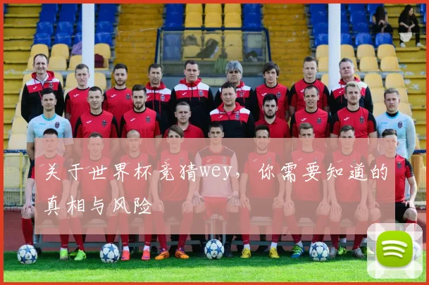 关于世界杯竞猜wey,你需要知道的真相与风险