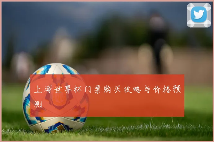 上海世界杯门票购买攻略与价格预测